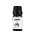 Rosemary essential oil